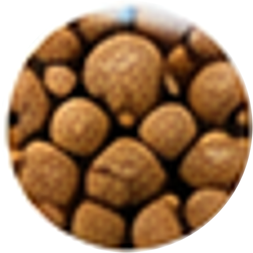 Groundnut Shell biomass pellet feedstock