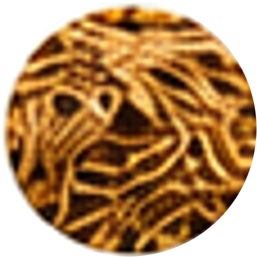 Rice Husk biomass pellet feedstock