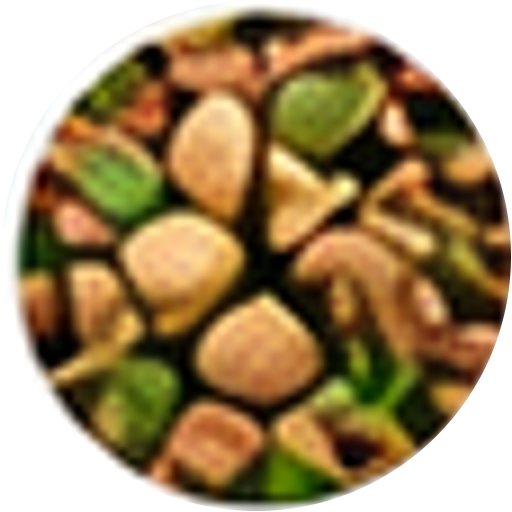 Sugarcane Bagasse biomass pellet feedstock